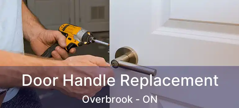  Door Handle Replacement Overbrook - ON