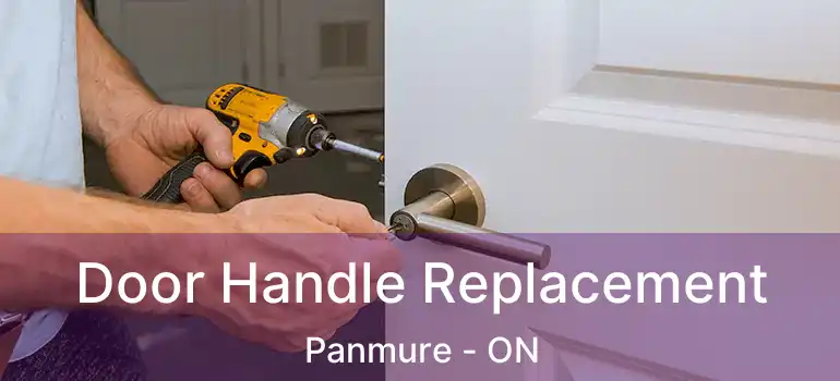  Door Handle Replacement Panmure - ON