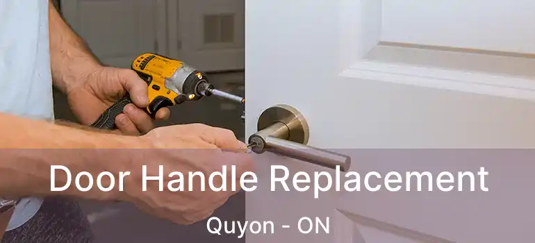  Door Handle Replacement Quyon - ON