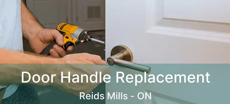  Door Handle Replacement Reids Mills - ON