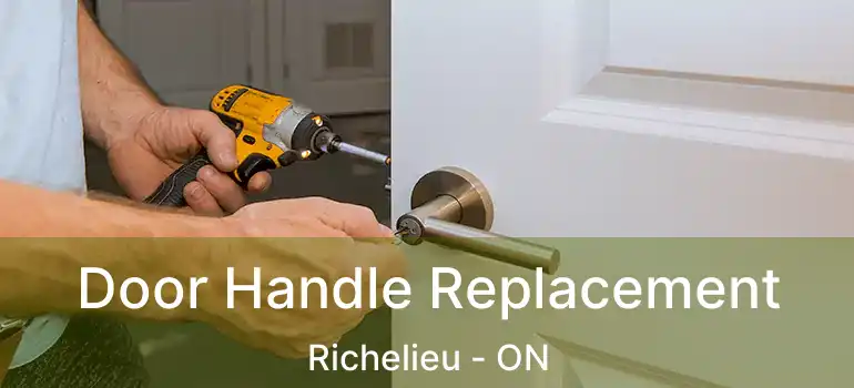  Door Handle Replacement Richelieu - ON