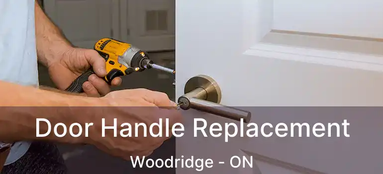  Door Handle Replacement Woodridge - ON