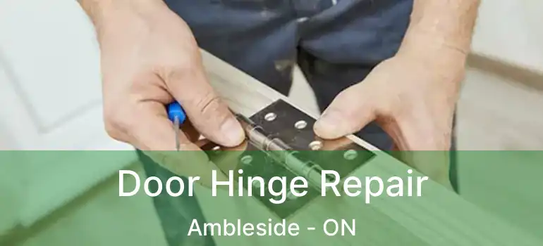  Door Hinge Repair Ambleside - ON