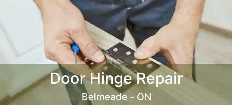  Door Hinge Repair Belmeade - ON