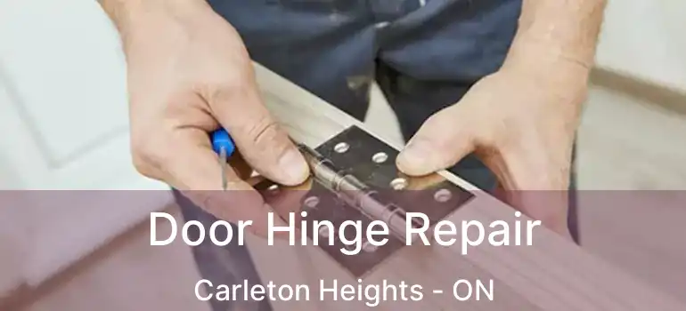  Door Hinge Repair Carleton Heights - ON