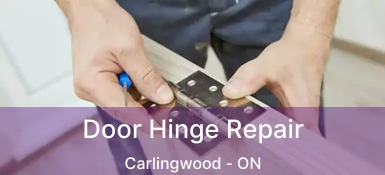  Door Hinge Repair Carlingwood - ON