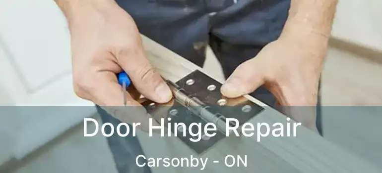  Door Hinge Repair Carsonby - ON