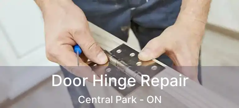  Door Hinge Repair Central Park - ON