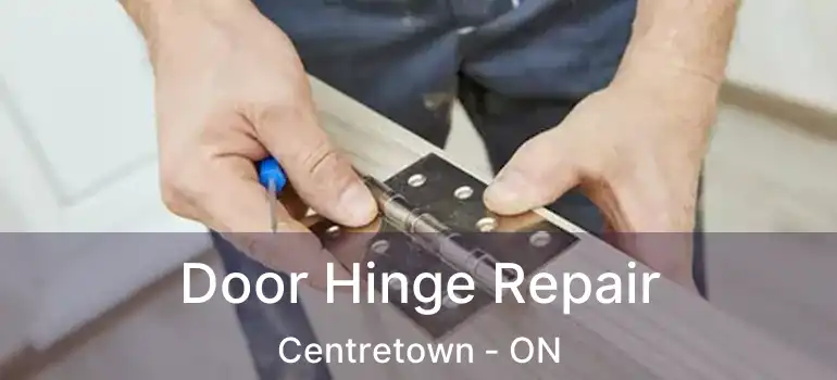  Door Hinge Repair Centretown - ON