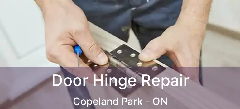  Door Hinge Repair Copeland Park - ON