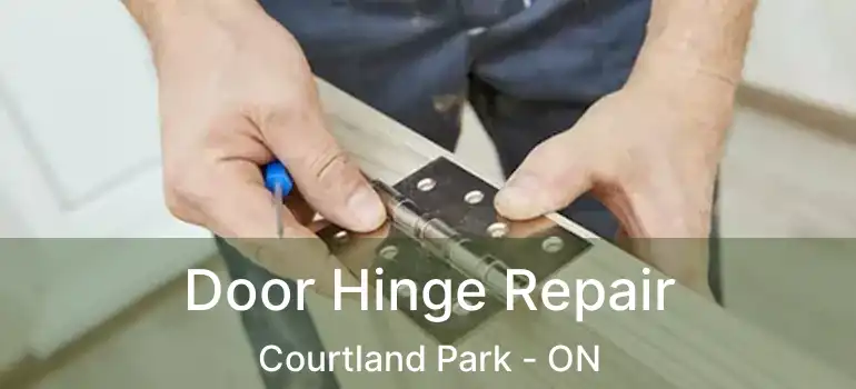  Door Hinge Repair Courtland Park - ON