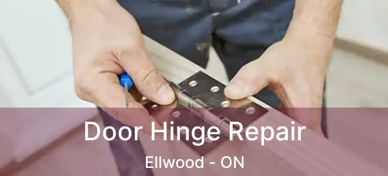  Door Hinge Repair Ellwood - ON