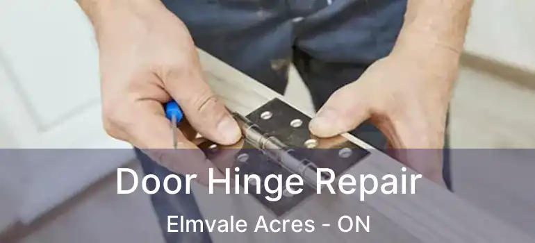  Door Hinge Repair Elmvale Acres - ON