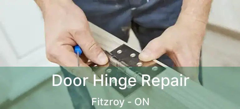  Door Hinge Repair Fitzroy - ON