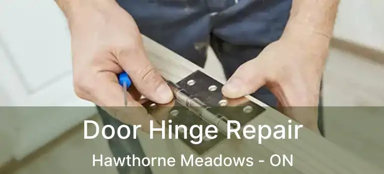  Door Hinge Repair Hawthorne Meadows - ON