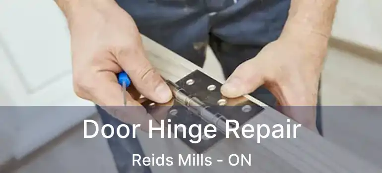  Door Hinge Repair Reids Mills - ON