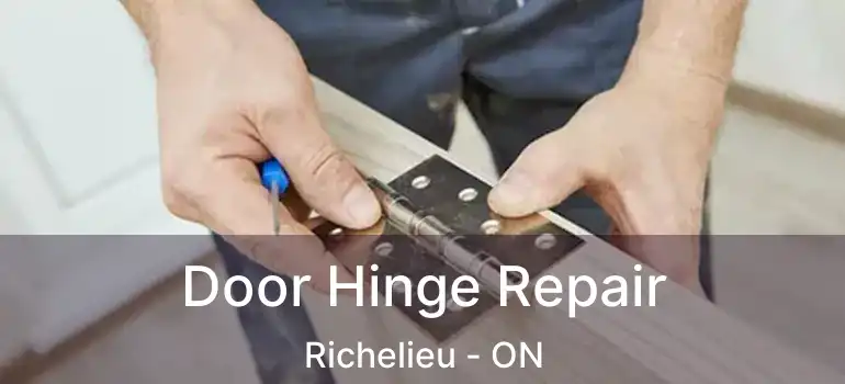  Door Hinge Repair Richelieu - ON