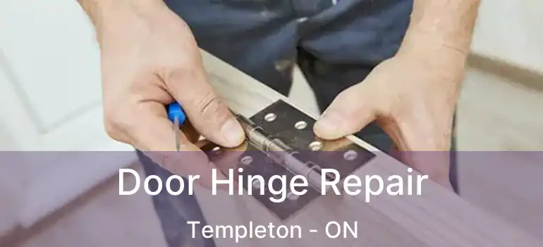  Door Hinge Repair Templeton - ON