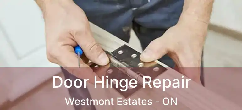  Door Hinge Repair Westmont Estates - ON