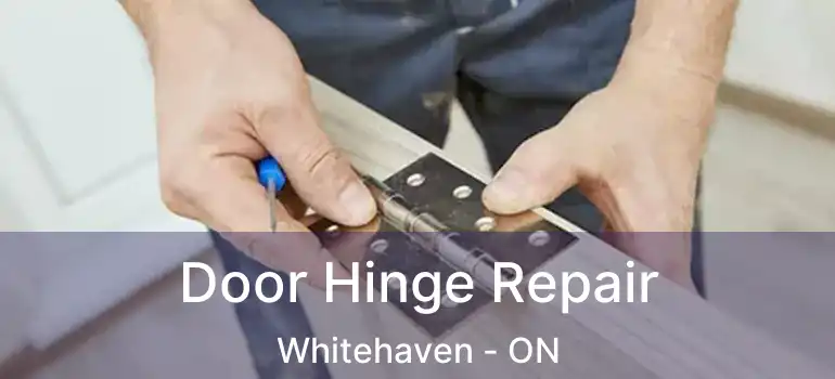  Door Hinge Repair Whitehaven - ON