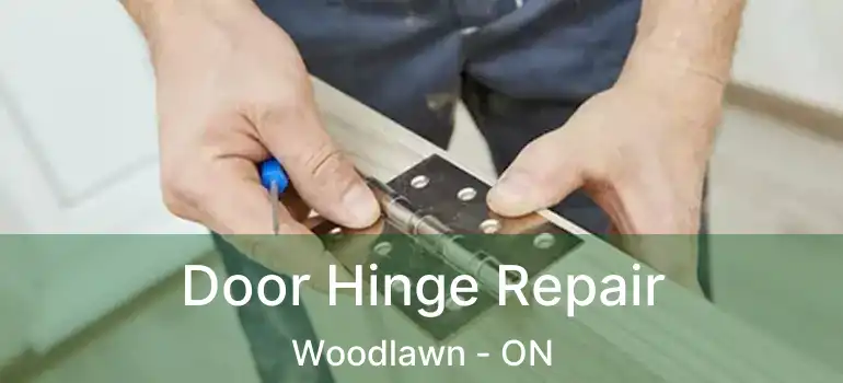  Door Hinge Repair Woodlawn - ON