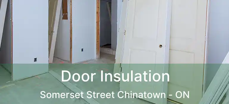  Door Insulation Somerset Street Chinatown - ON