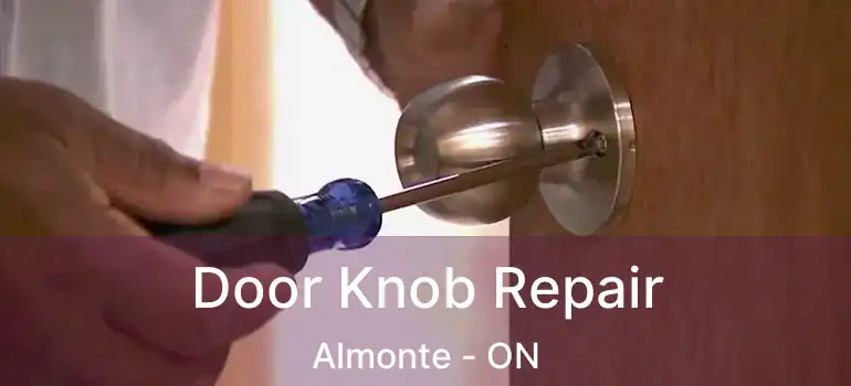  Door Knob Repair Almonte - ON