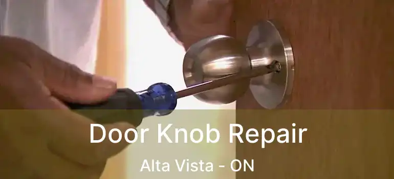  Door Knob Repair Alta Vista - ON