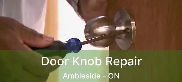  Door Knob Repair Ambleside - ON