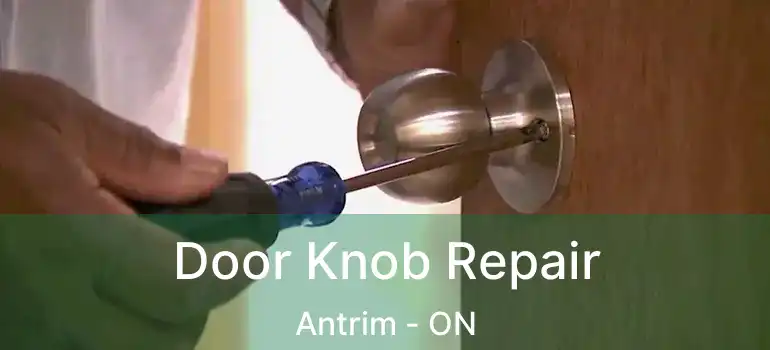  Door Knob Repair Antrim - ON