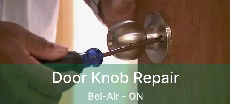  Door Knob Repair Bel-Air - ON