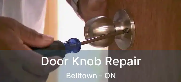  Door Knob Repair Belltown - ON