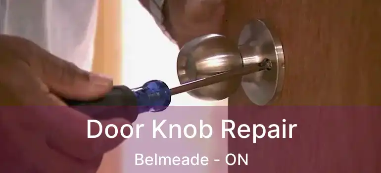  Door Knob Repair Belmeade - ON