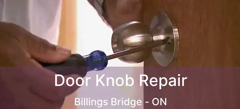  Door Knob Repair Billings Bridge - ON