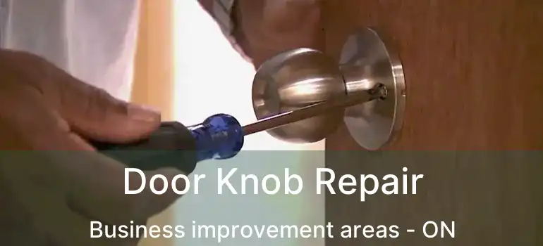  Door Knob Repair Business improvement areas - ON