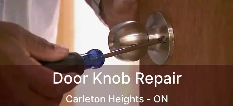  Door Knob Repair Carleton Heights - ON