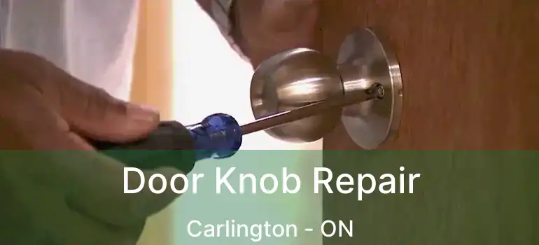  Door Knob Repair Carlington - ON