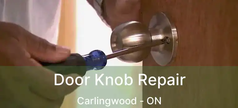  Door Knob Repair Carlingwood - ON