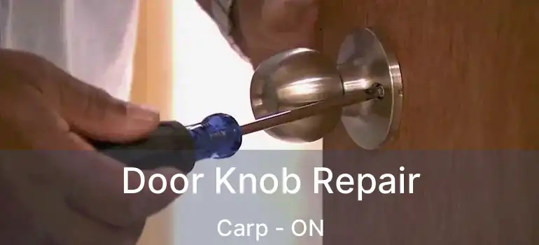  Door Knob Repair Carp - ON