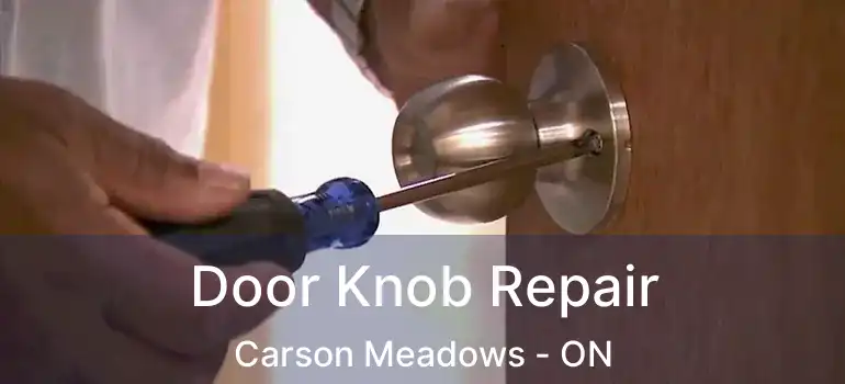  Door Knob Repair Carson Meadows - ON