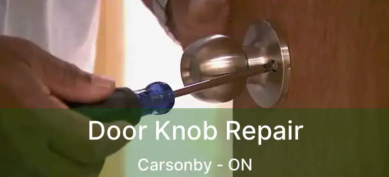  Door Knob Repair Carsonby - ON