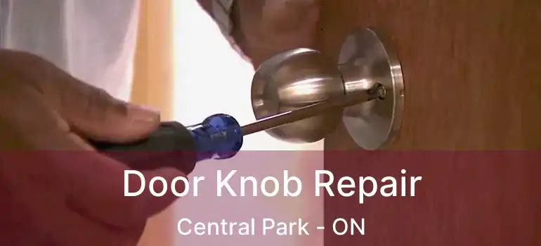  Door Knob Repair Central Park - ON