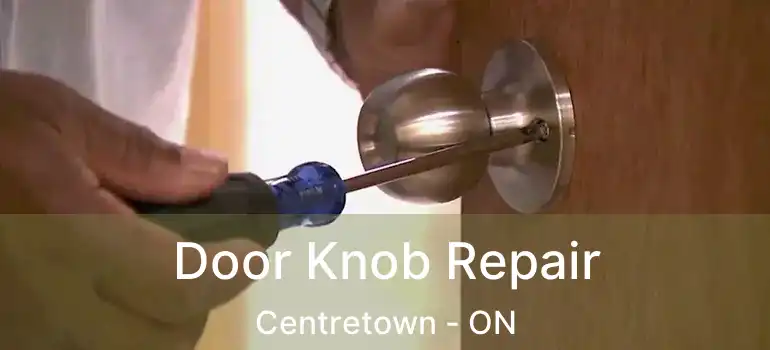  Door Knob Repair Centretown - ON