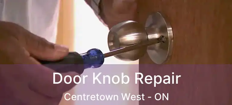  Door Knob Repair Centretown West - ON