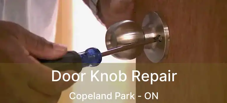  Door Knob Repair Copeland Park - ON