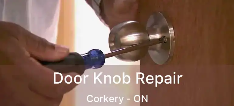  Door Knob Repair Corkery - ON