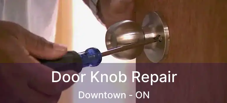  Door Knob Repair Downtown - ON