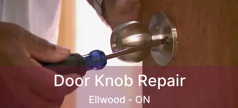  Door Knob Repair Ellwood - ON