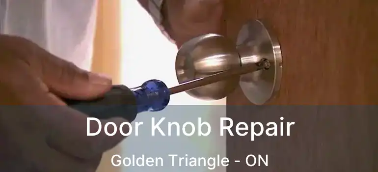  Door Knob Repair Golden Triangle - ON