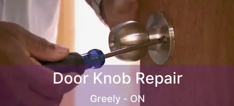  Door Knob Repair Greely - ON